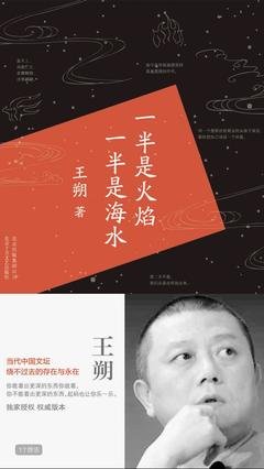 一半是火焰一半是海水的读后感大全