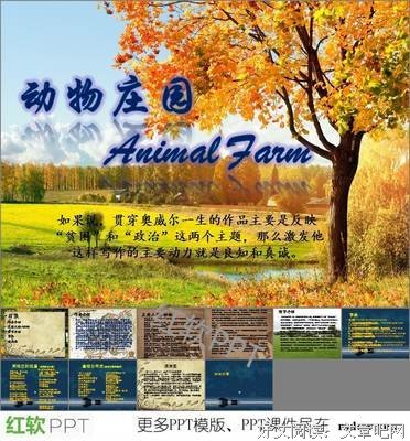 《奥威尔传》读后感摘抄