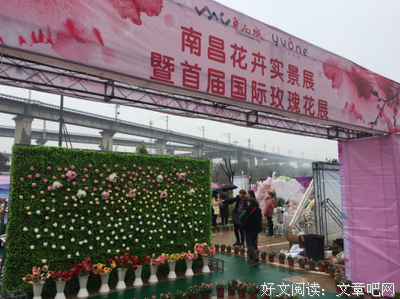 《国际市场》影评摘抄