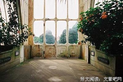 有关锋芒毕露的美句摘抄