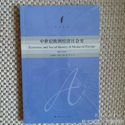 中世纪经济社会史（上册）读后感100字