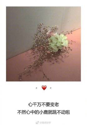 描写铁石心肠的语句摘抄