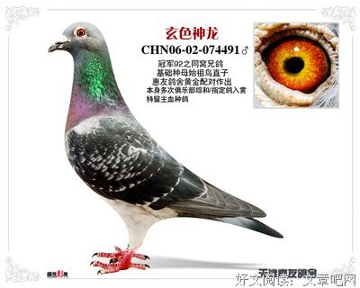 有关玄色的句子
