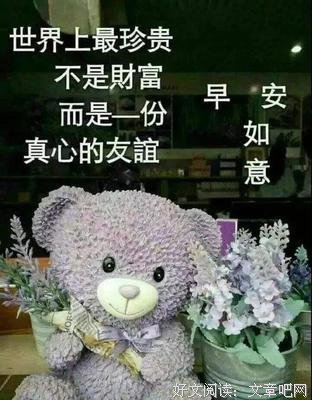最美的句子