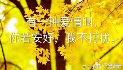 《人走茶凉》的句子