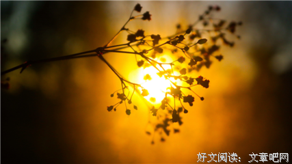 关于剪影的优美句子