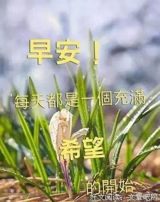 《我想你想我》的句子