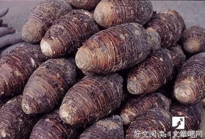 大量丄市!虽然长得丑,却是治百病的良药