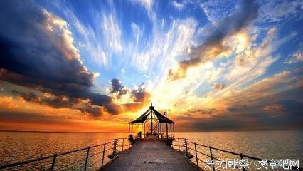 最经典的《情深不知年》小说摘抄
