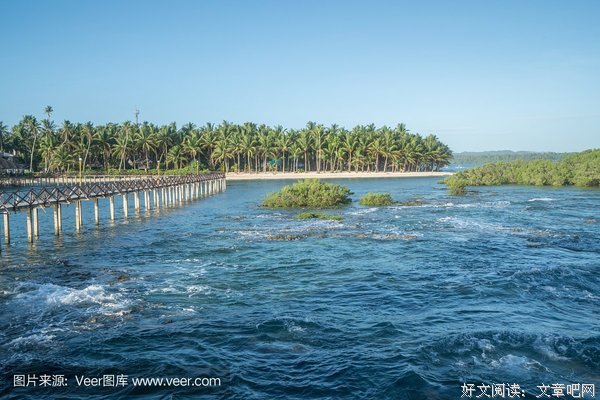 最全的《狂喜物年月和路把西还变》经典语句