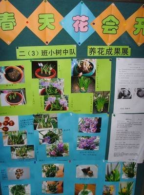 花会开 硕果也会来 你的状态在不在