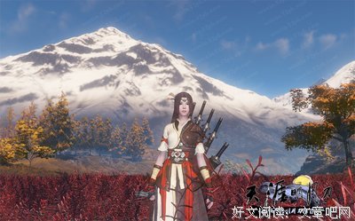 《清风明月佳人》经典观后感有感