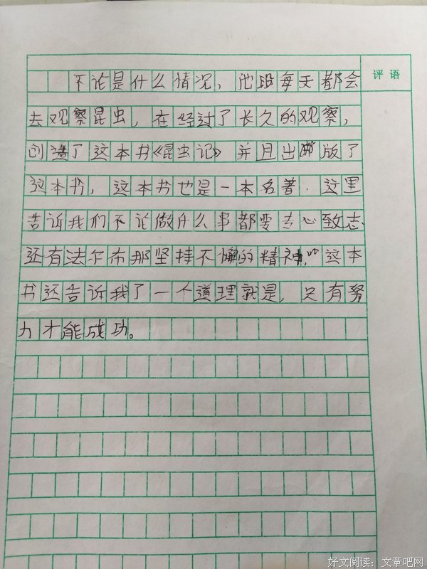 昆虫记的读后感大全