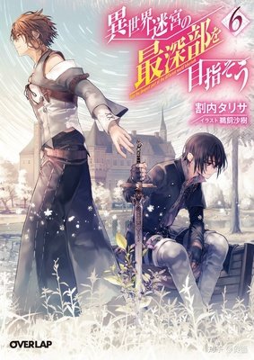 《幻影迷宫》的读后感大全