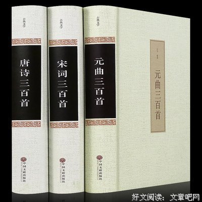 宋词鉴赏辞典读后感100字