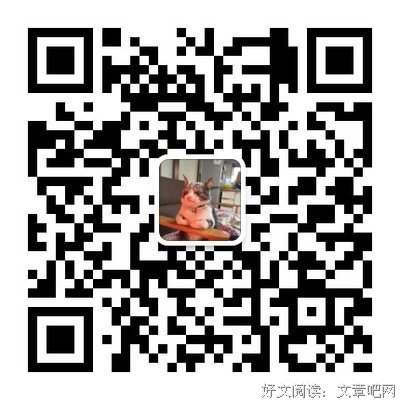麦克卢汉精粹的读后感大全