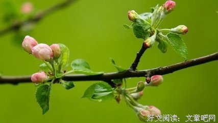 关于欲哭无泪的唯美语录