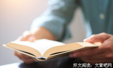 《牧羊王子奇幻之旅》读后感1000字