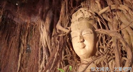 《三少爷的剑》经典观后感集