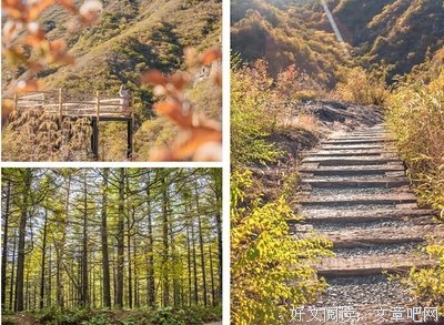 《狼烟遍地》的观后感大全