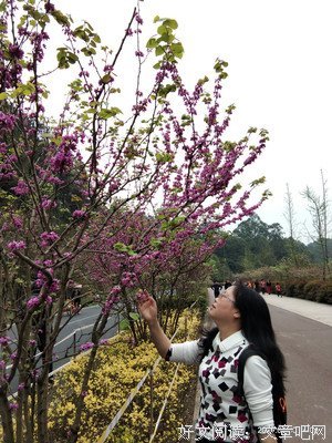 丽影萍踪读后感100字