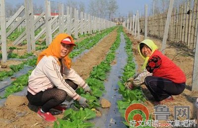 《女孩闺房》观后感精选