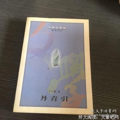 丹青引读后感100字