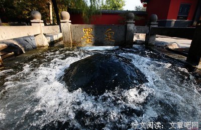 《湖畔的陌生人》经典观后感有感