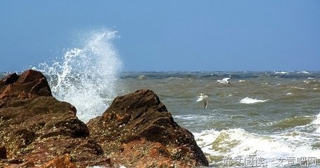 浪花读后感锦集