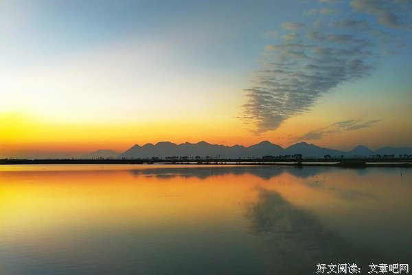 《在水一方》读后感锦集