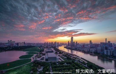 《几度夕阳红》读后感精选