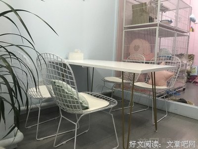猫都地到上i经典的句子