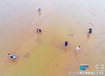 我吧优美的句子