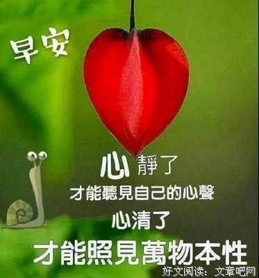 亦心碎亦心醉经典的句子
