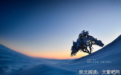 文字心语