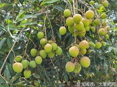 最全的大古的名言