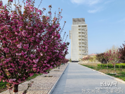 《樱花深处的秘密》经典语录