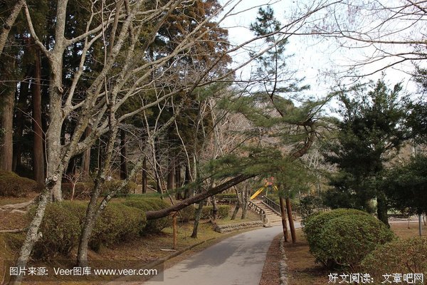 《知觉现任于那好了》经典名句