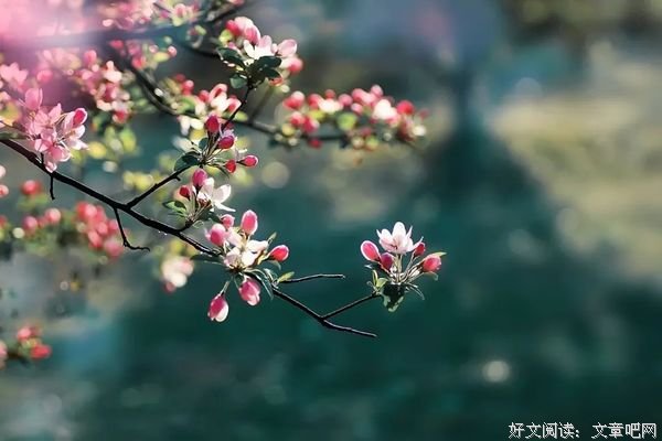 无悔选择，无悔人生