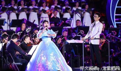《啼笑因缘》读后感摘抄