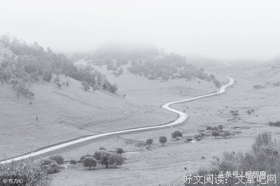 15条关于青山绿水的经典语句