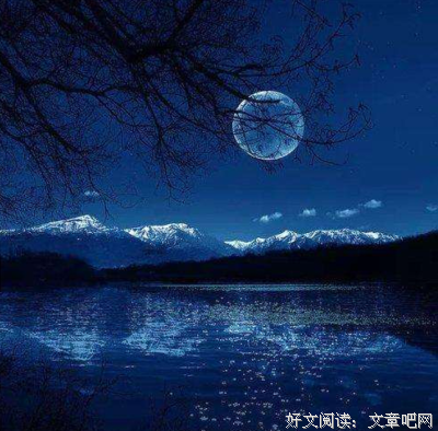 《月光诗篇》观后感100字