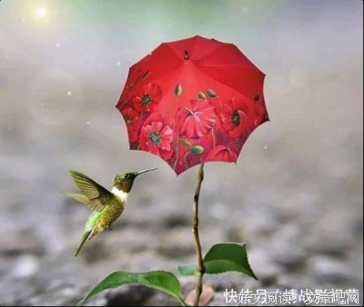 止步不前的句子