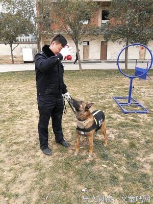 《我的亲密敌人》经典影评1000字