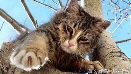 《爱阳光》的句子