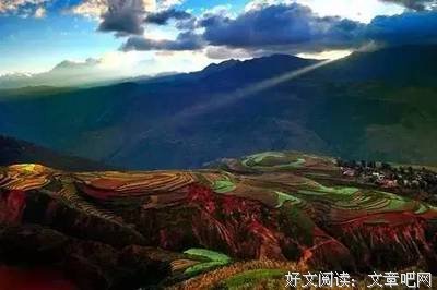 淡（此文无价）