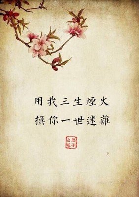 关于用我一生为你保驾护航的句子