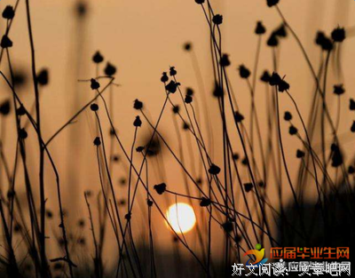 时光匆匆，以泪祭奠名句欣赏