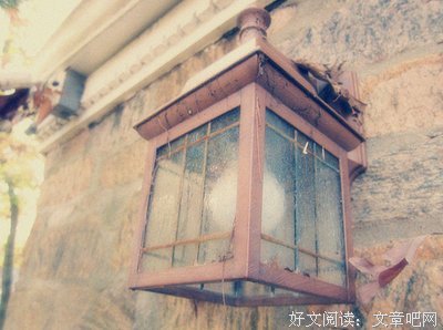 关于温凉如初的优美句子