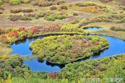  将打起处的向为，近处的景句子大全